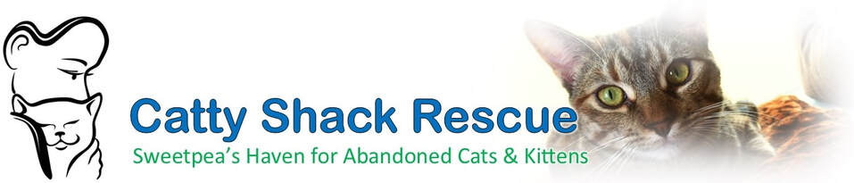 Catty Shack Rescue